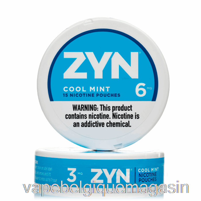 Vape Belgique Zyn Sachets De Nicotine - Menthe Fraîche 3mg (paquet De 5)